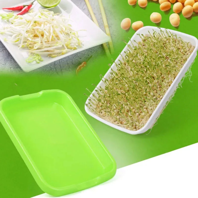 1 Pcs Germination Tray Seed Germination Tray Seedling Tray Wheatgrass Seed Planting Soilless Cultivation Planting Pot