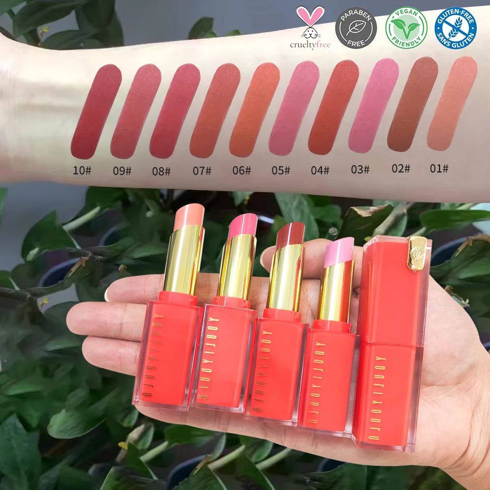 10 Colors Private Label Korean Makeup Waterproof Silky Persistent Coloring Creamy Moisturizing Red Lipstick